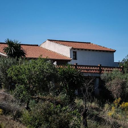דירות אלורה Peace And Tranquility At Montana Retreat מראה חיצוני תמונה